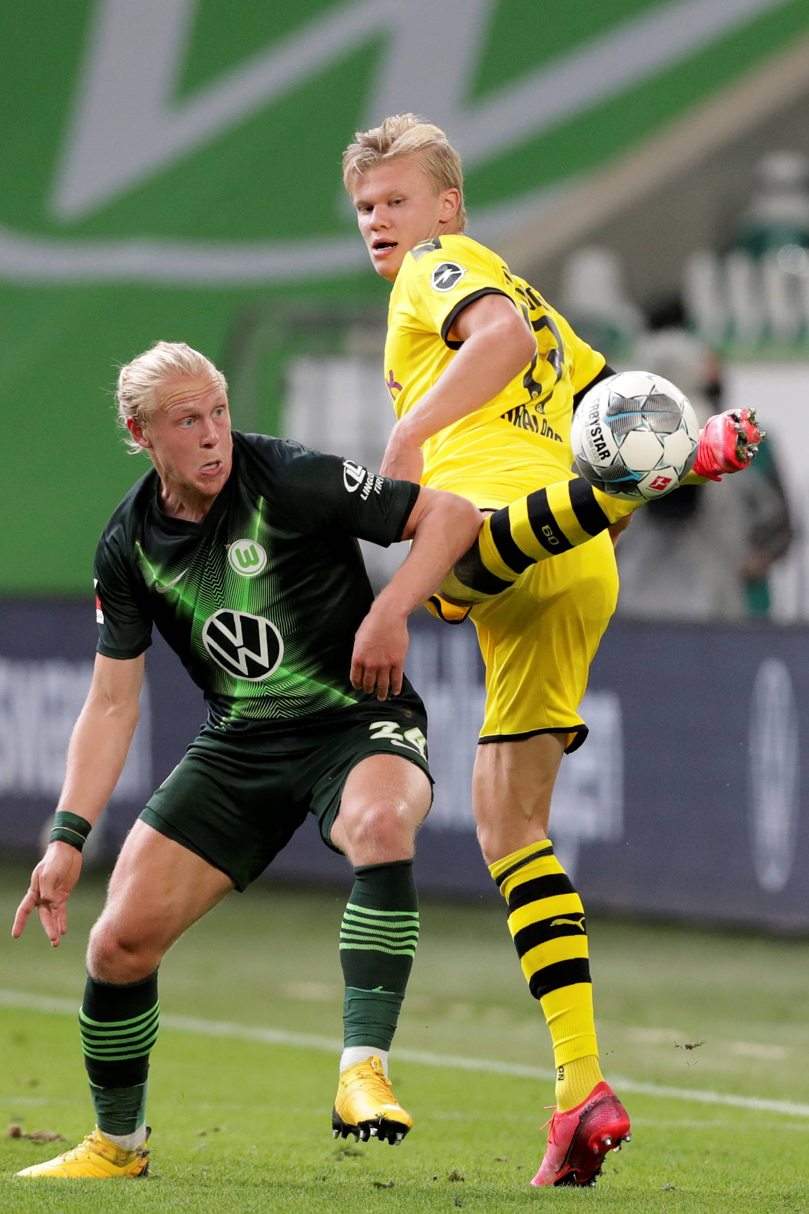 灰熊等高强 灰熊等高强