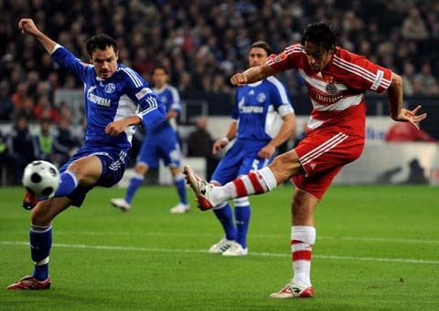 包括室内篮 包括室内篮